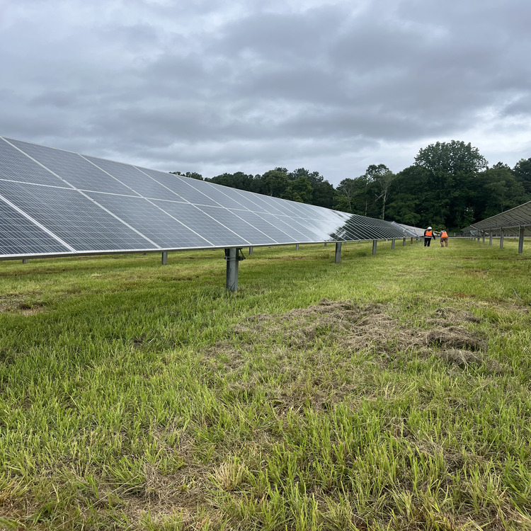 Just another WordPress site