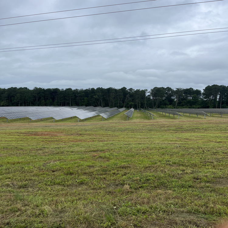 Just another WordPress site