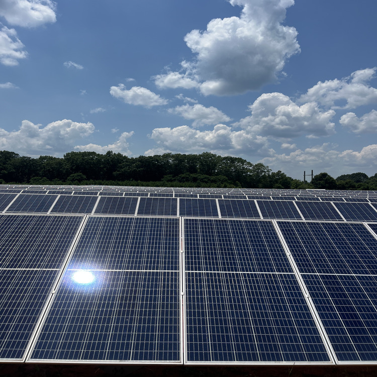 Just another WordPress site