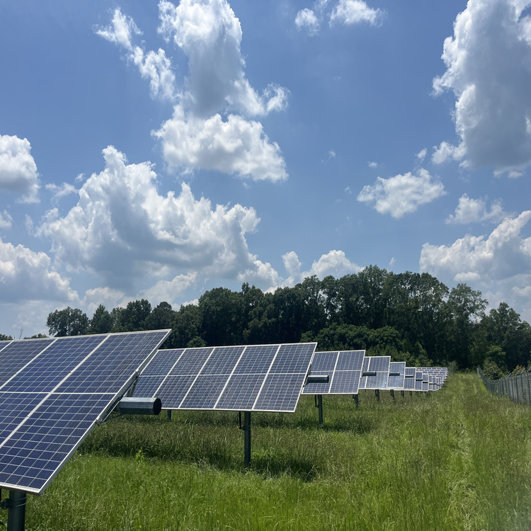 Just another WordPress site