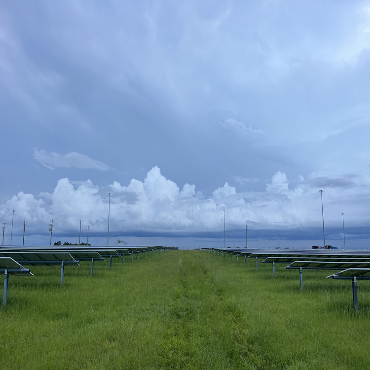 Just another WordPress site